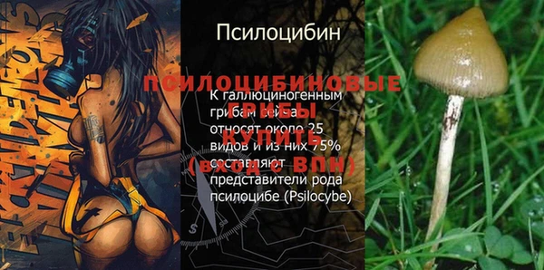 мескалин Алексин